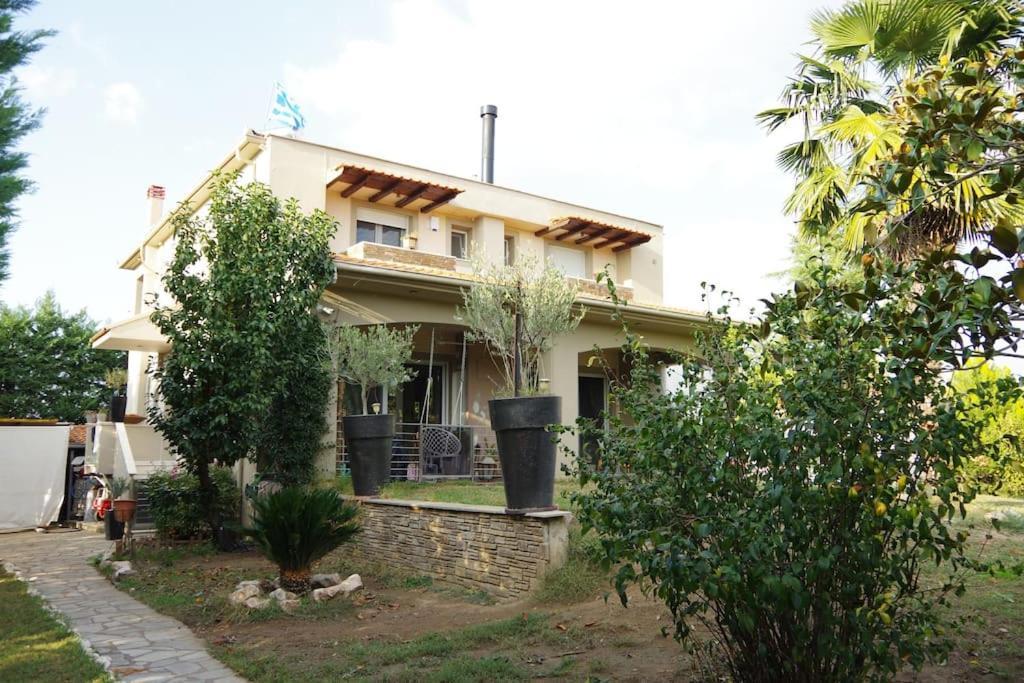 Villa Vasili Trikala  Exterior photo
