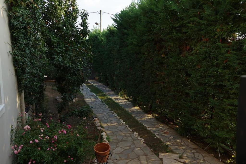 Villa Vasili Trikala  Exterior photo